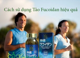 Cách sử dụng tảo Fucoidan để đạt hiệu quả cao?