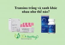Transino trắng và xanh khác nhau như thế nào?